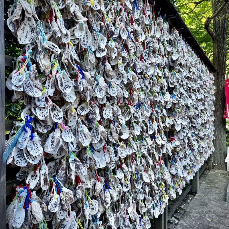 Oyster Shell Charms at Hasedera
