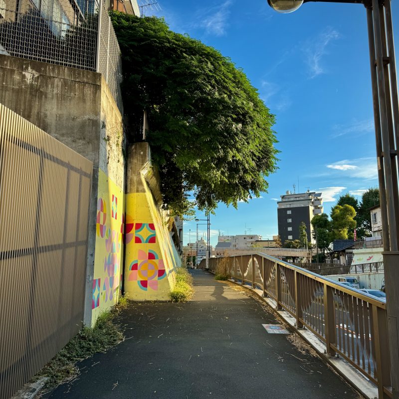 Hanging Tree Over Walkway