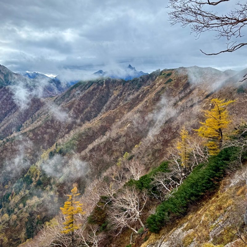 Misty Mountainside