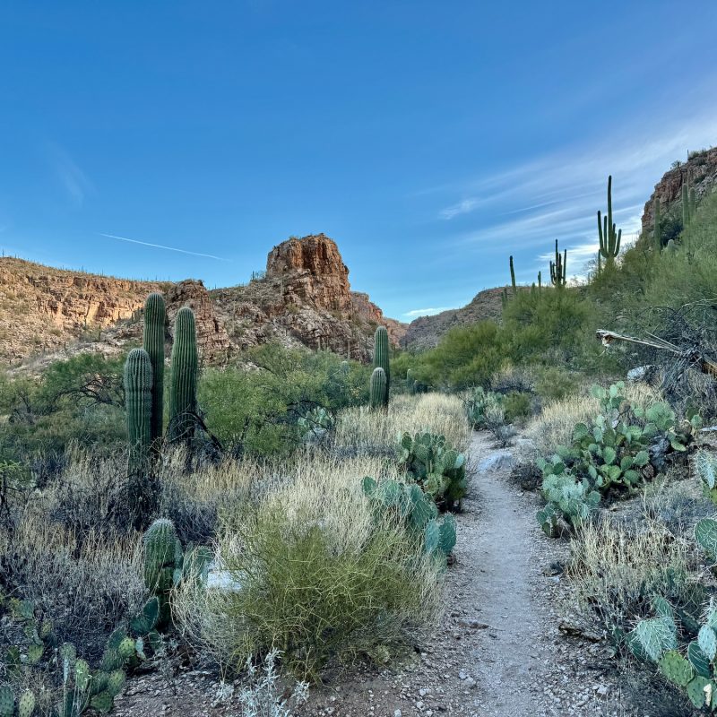 Hiking Agua Caliente Canyon