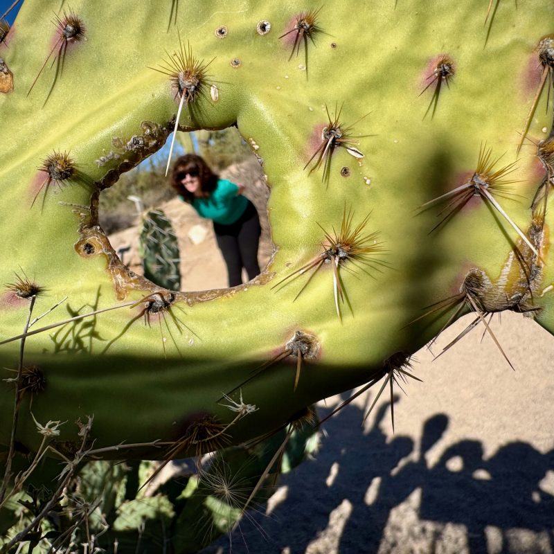 Within the Prickly Pear