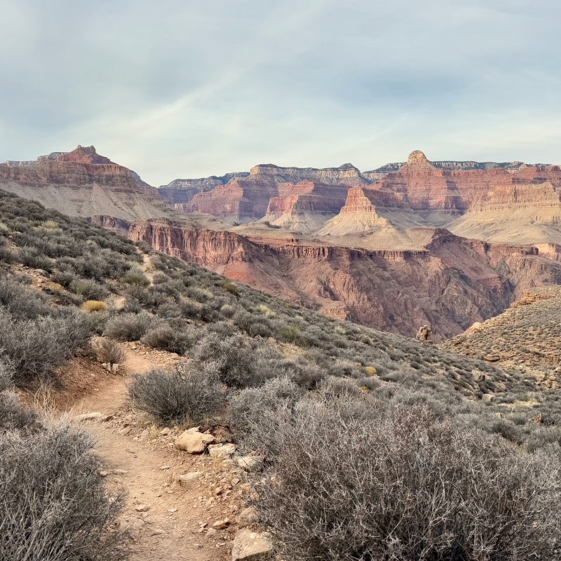 Pale Skied Tonto Walk
