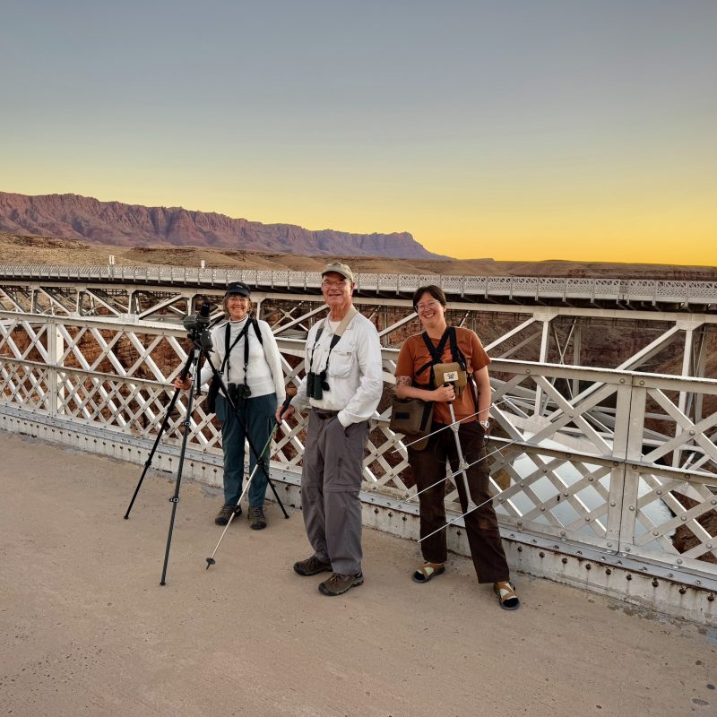 Condor Watchers