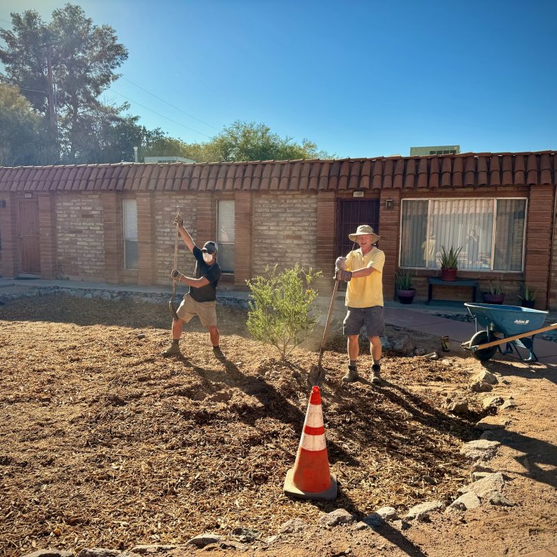 Tree Projects