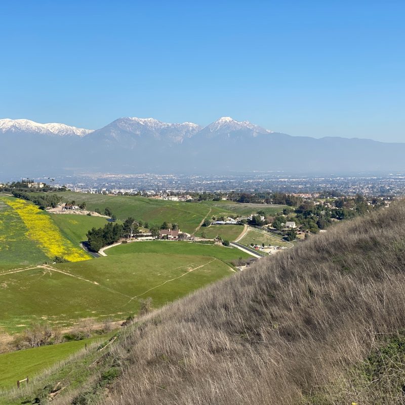 The Bucolic Chico Hills