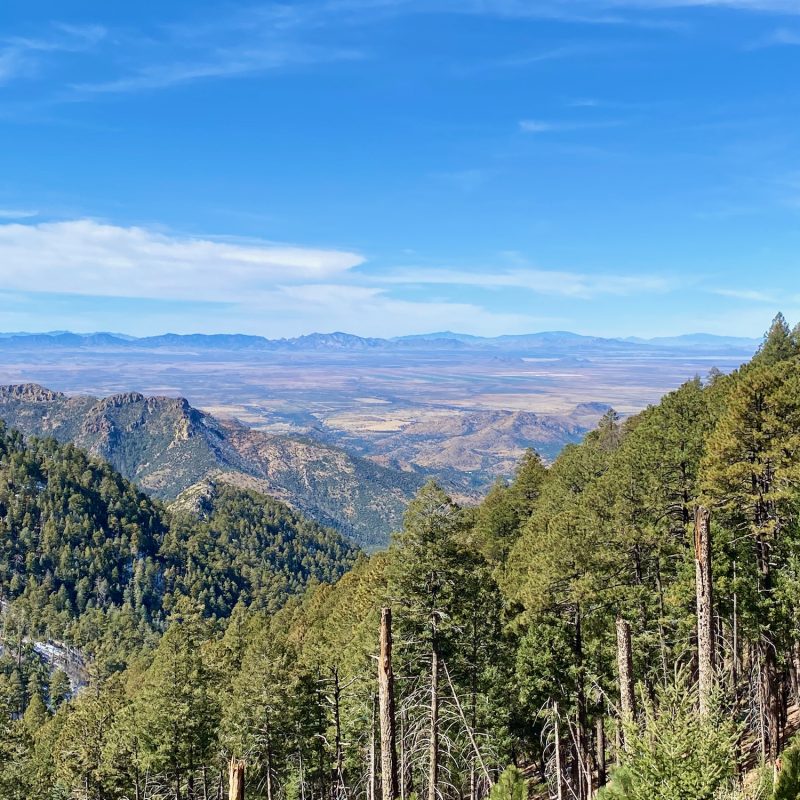Layers from Chiracahua Peak