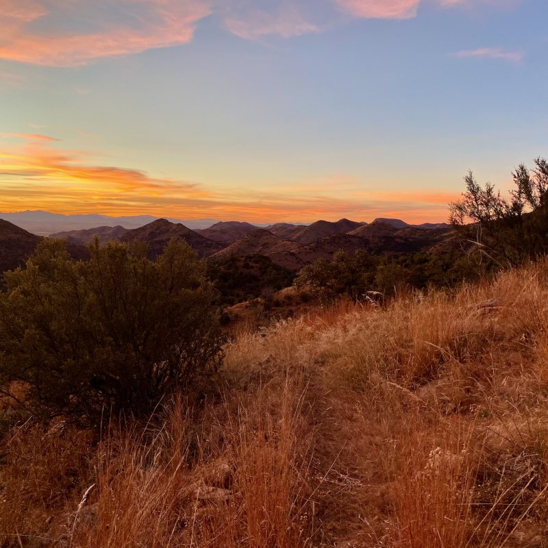Sunset Desert Strolls