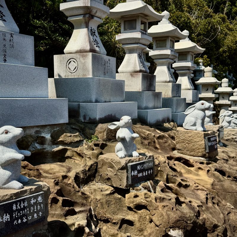 Bunnies of Udo Jingu