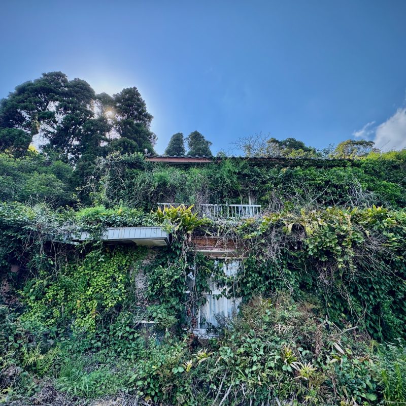 Akiya Overgrowth