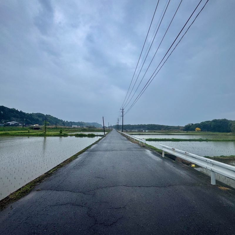 A Rainy Day's Ride