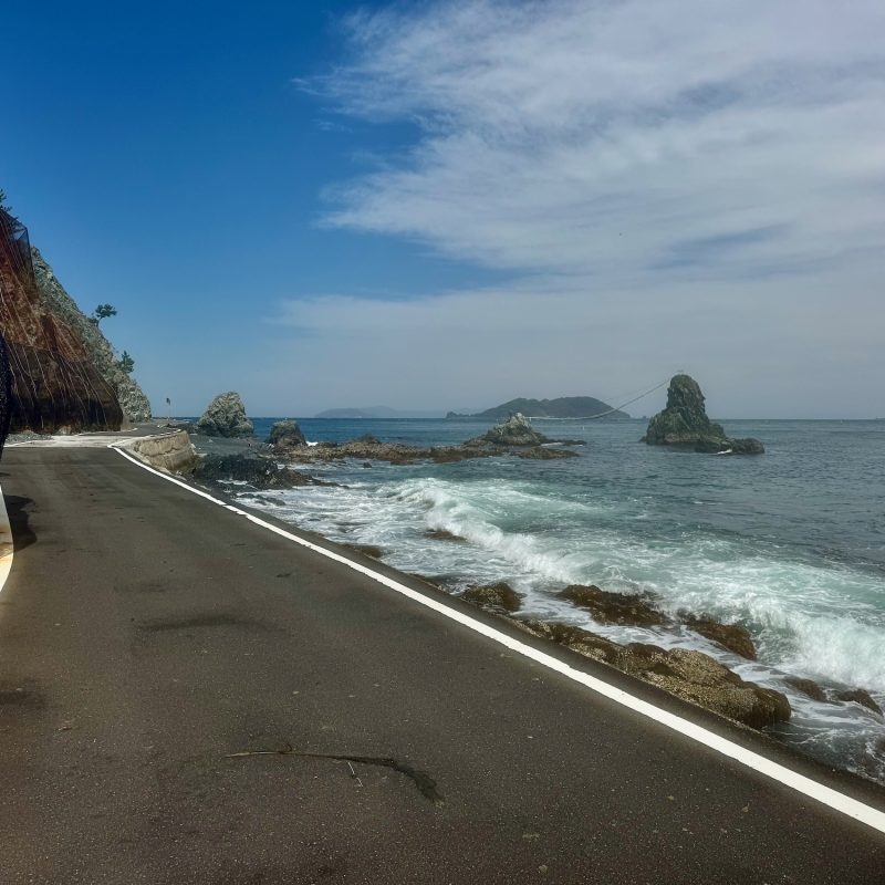 The Starkest Road