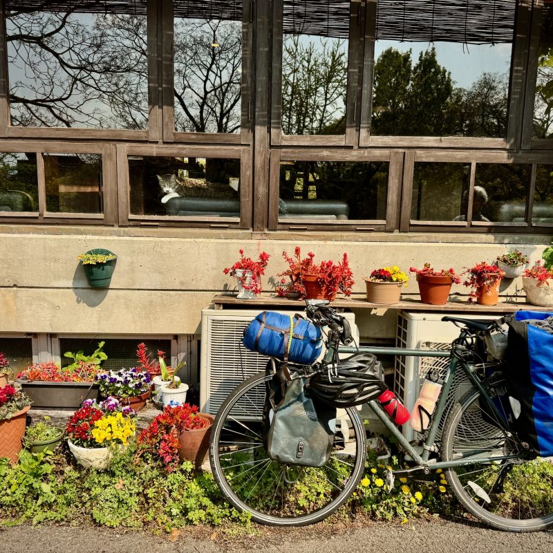 Bike Outside, Cat Inside