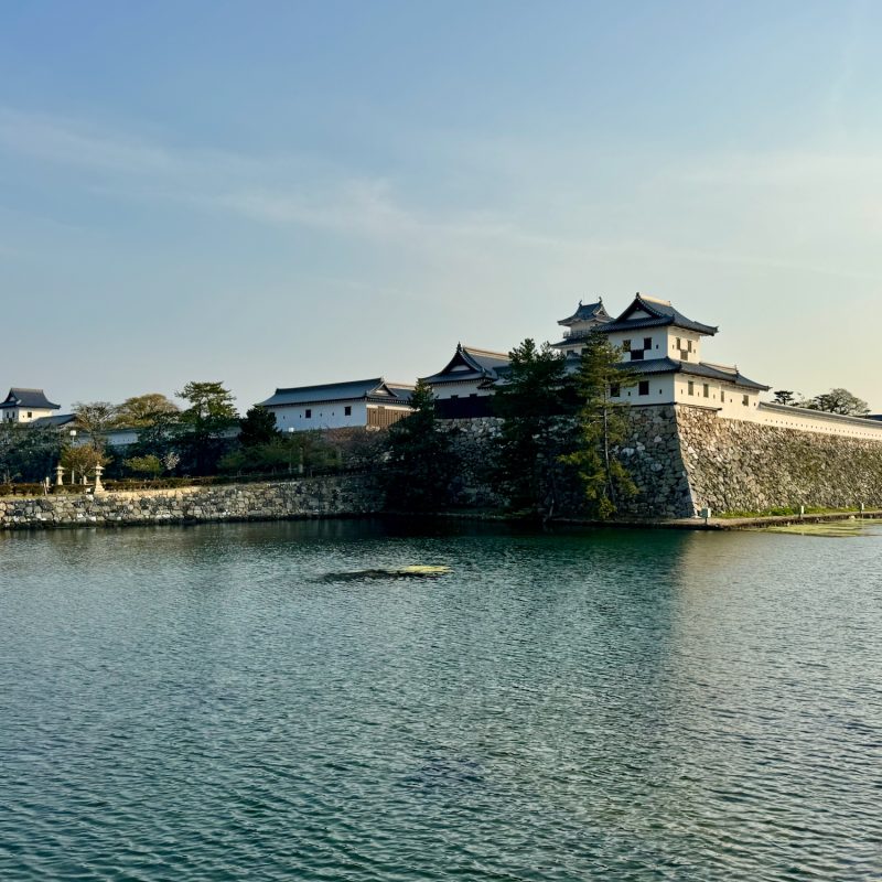 Imabari Castle, Golden Hour