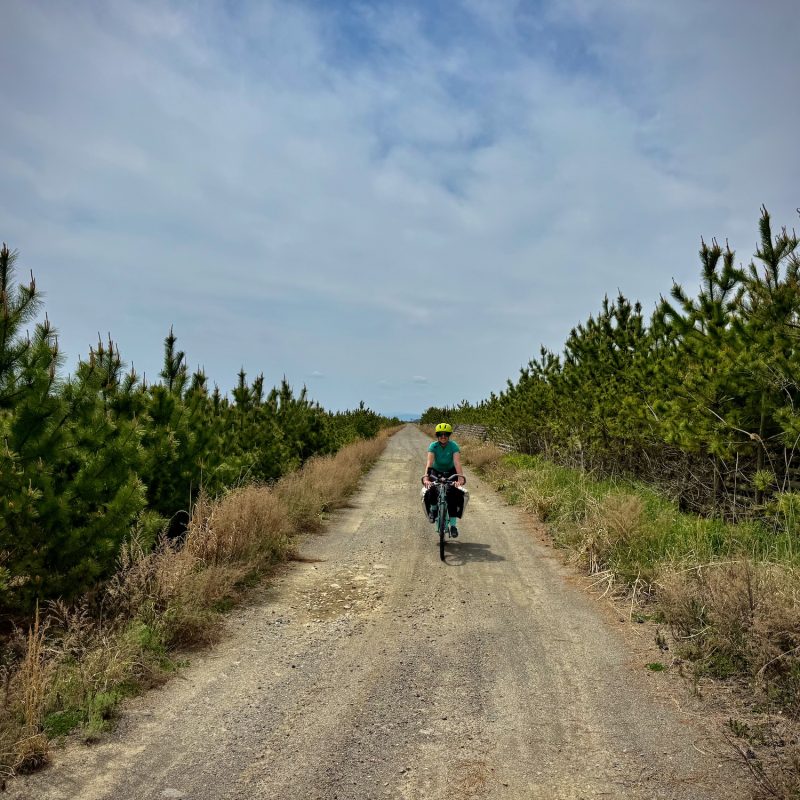 Coastal Dirt Rider