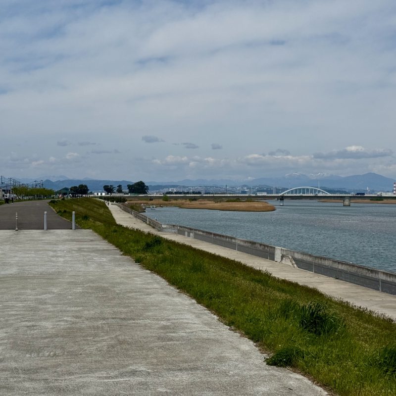 Sendai from the Natori River Delta