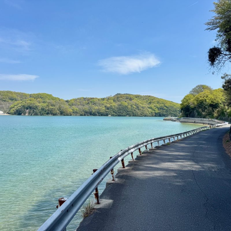 Coastal Rides in the Shade
