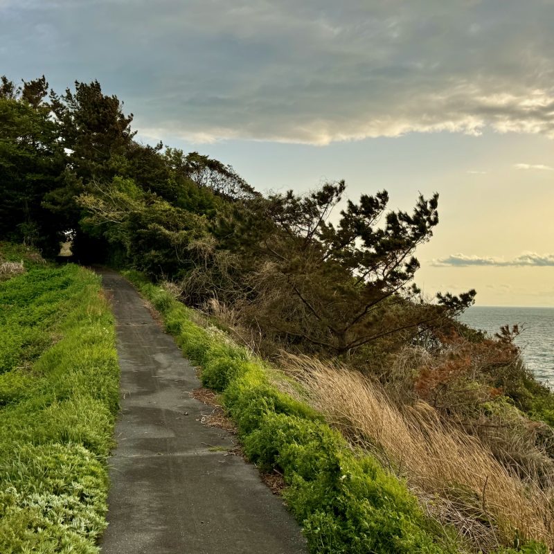 Roads of Cat Island II