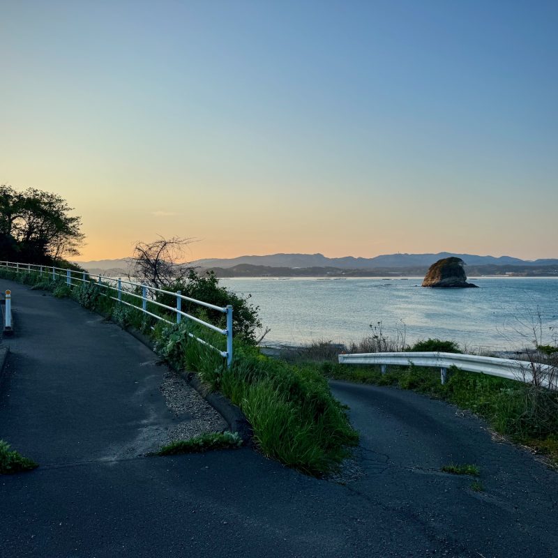 Views of Shizugawa Bay