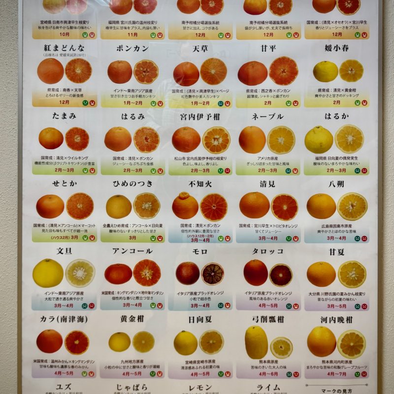 Also All About Oranges