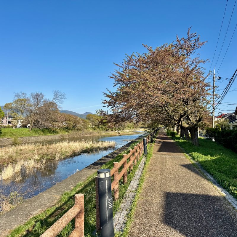Scenic Canal Pathing