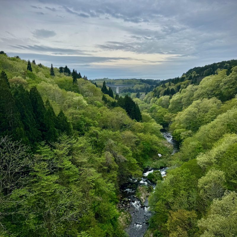Another Gorgeous Valley of Iwate