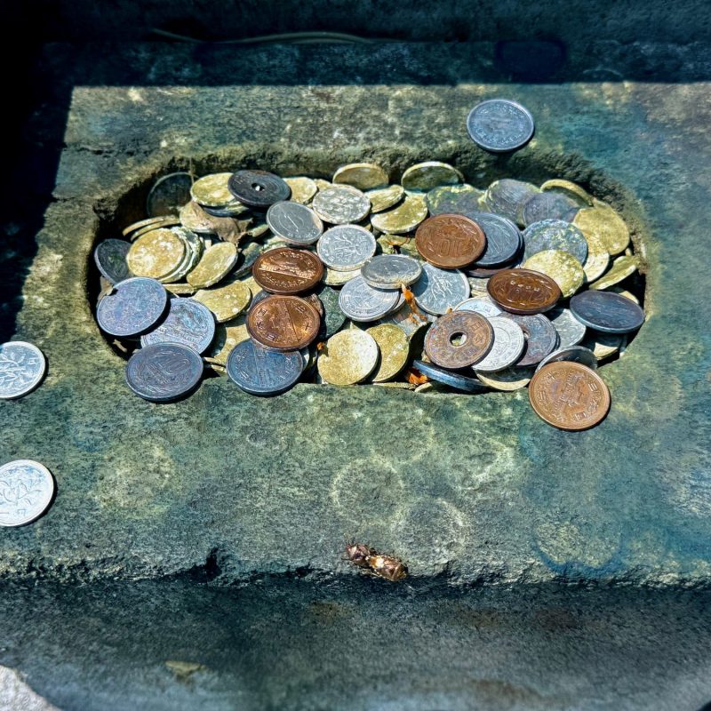 Coin Corrosion