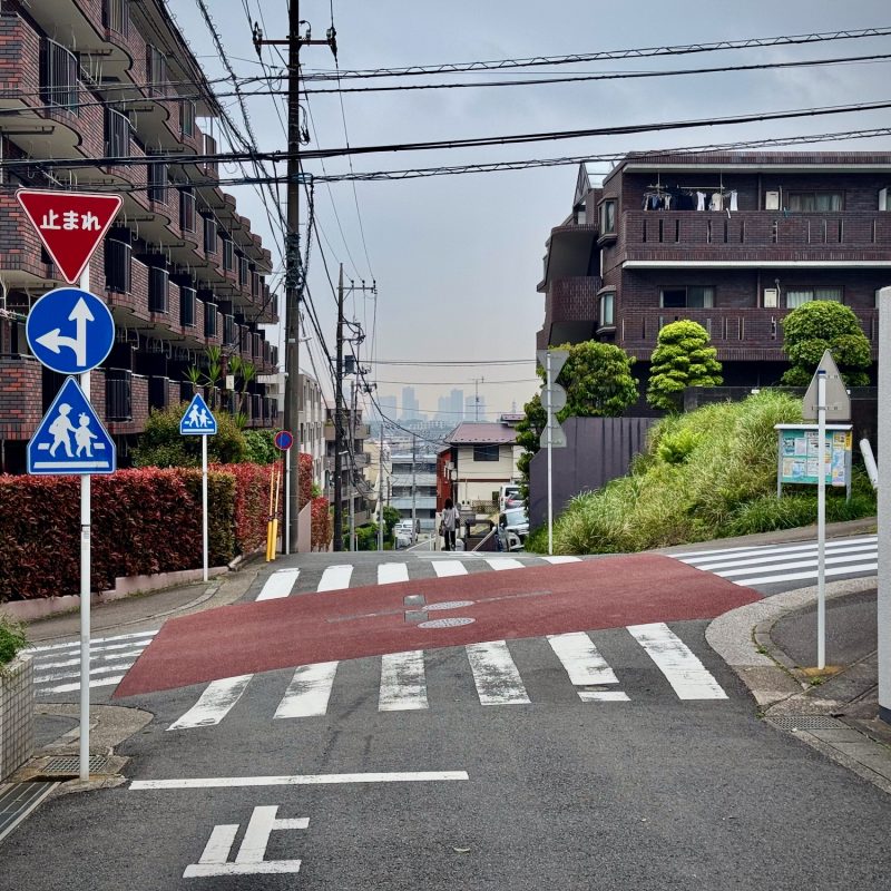 Glimpse of Yokohama