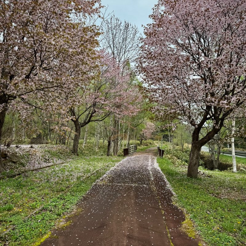 The Beautiful Way
