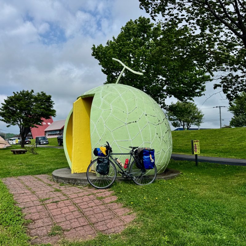Melon Toilet