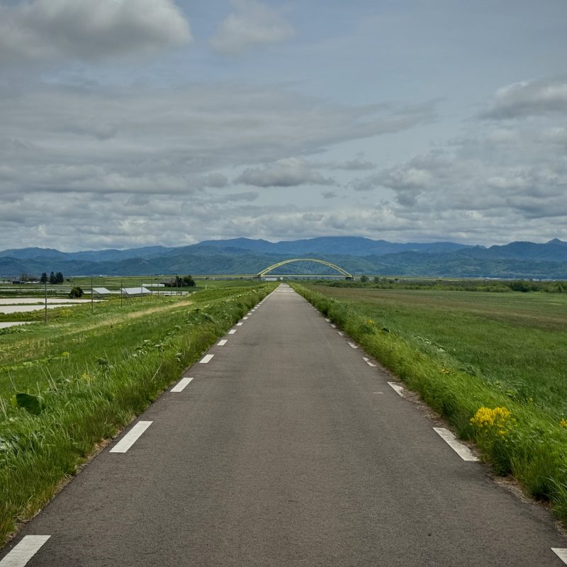 My Own Path