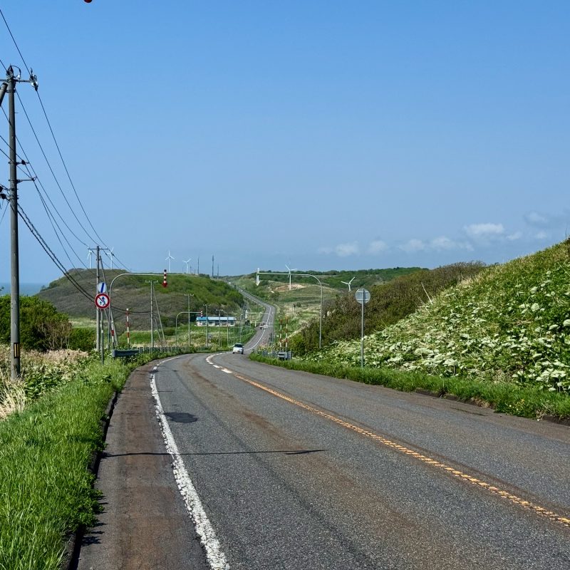 Drives Up the Northern Coast