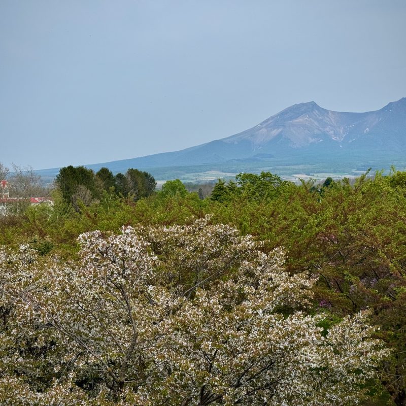 Mt. Komagatake, Farside