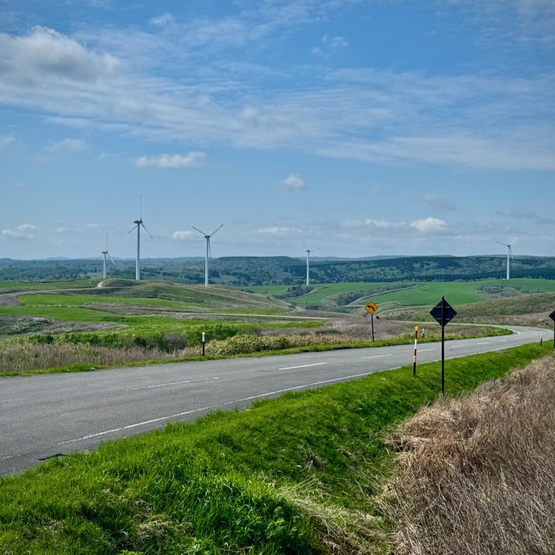 Winding Windmill Way