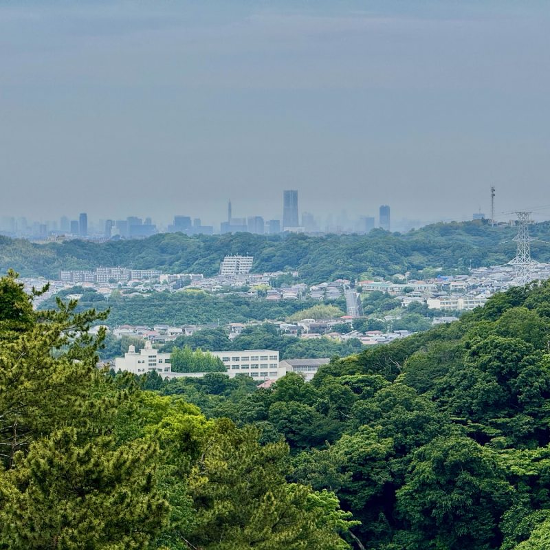 Views of Yokohama