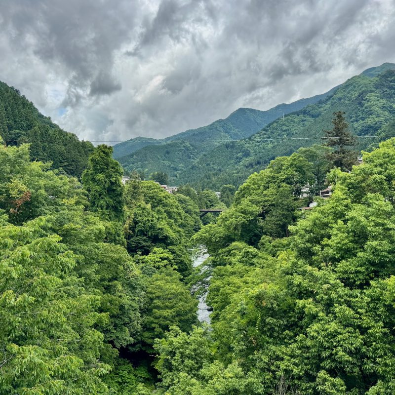 Green Valleys of Okutama