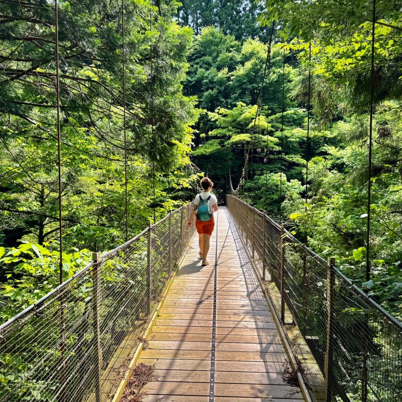 Bridgewalker