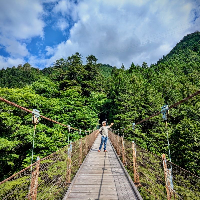 Bridgewalker