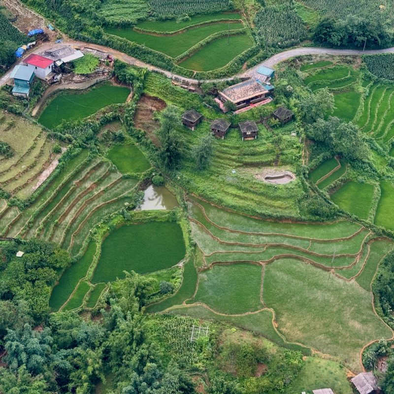 Rice Terraces From Above