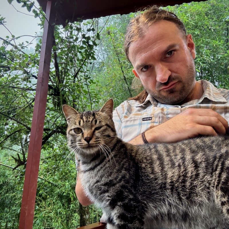 Cat Collecting II