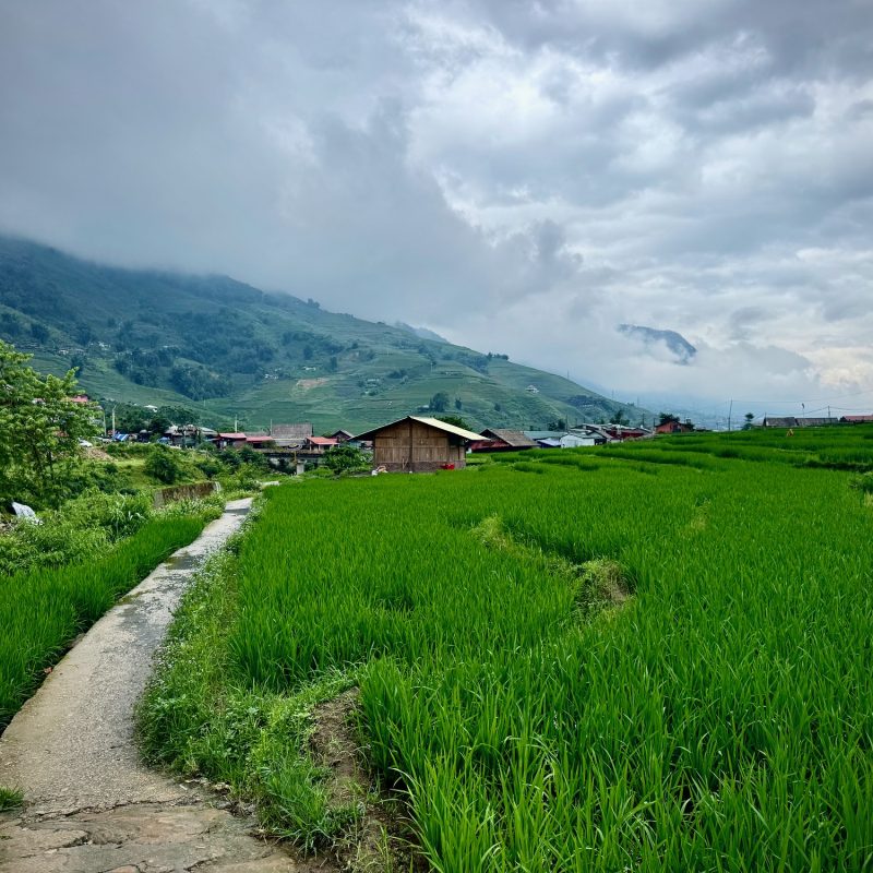 Rice Terraces of Lao Chai Village