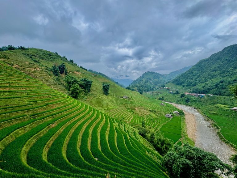 North in Vietnam
