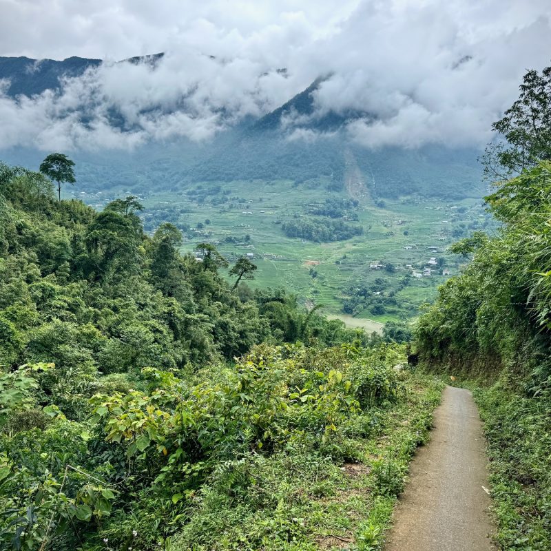 Wandering East of Lao Chai