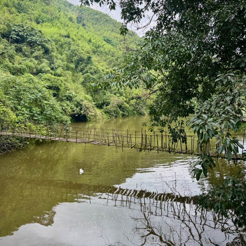 Dubious Bridge