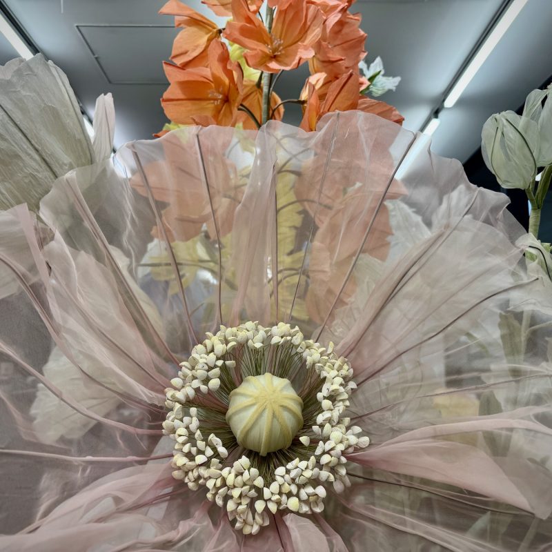 Paper Flowers