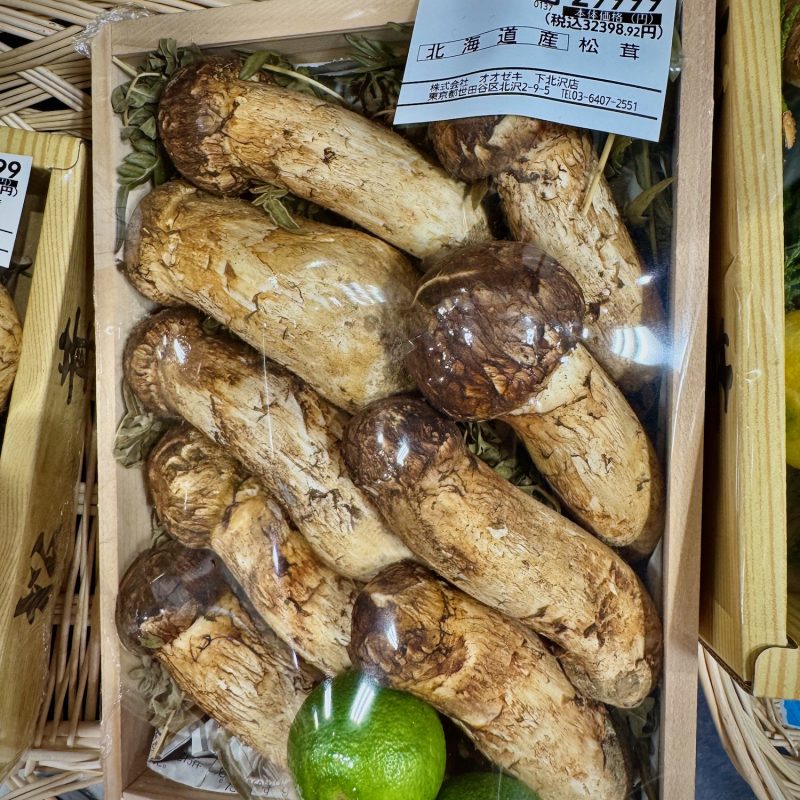 Matsutake Mushroom Price Tag