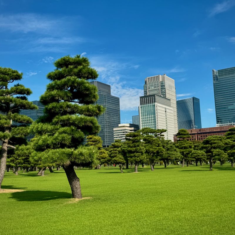 Trees of Chiyoda City