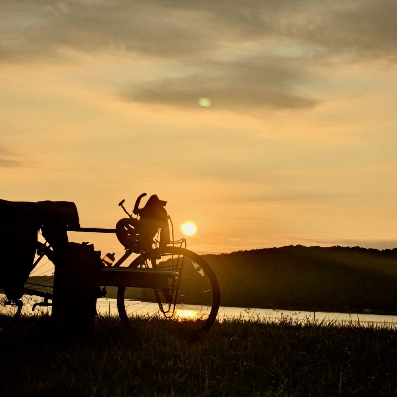 Sunset Silhouette