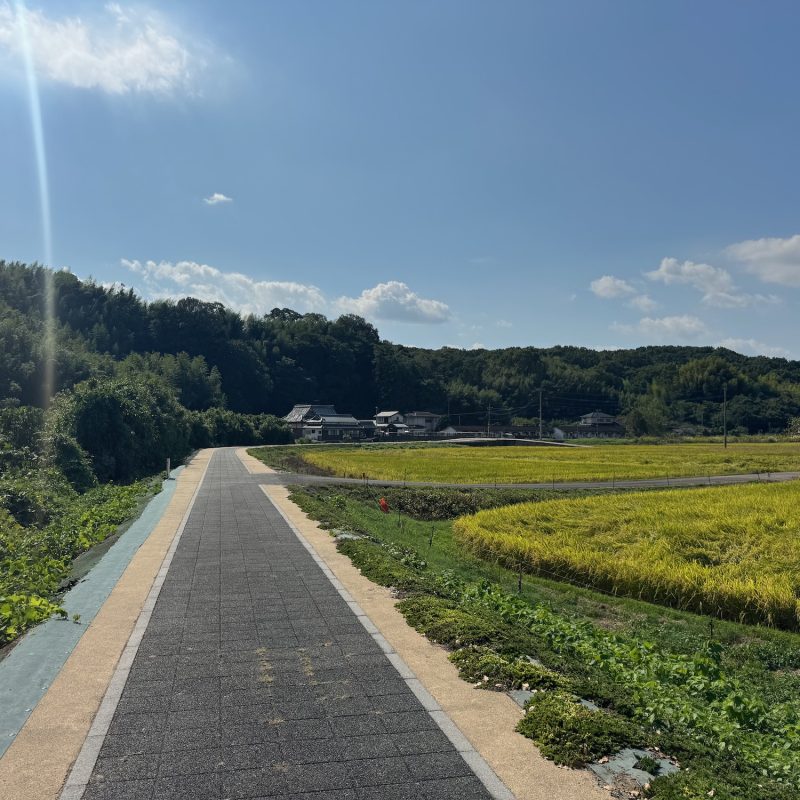 Path out of Usa