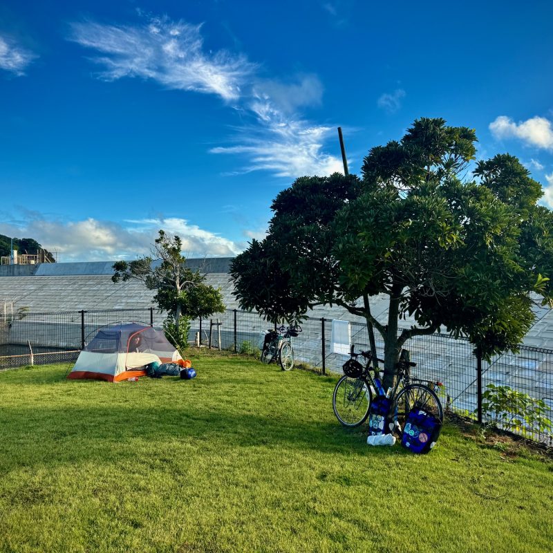 Athletic Park Camping