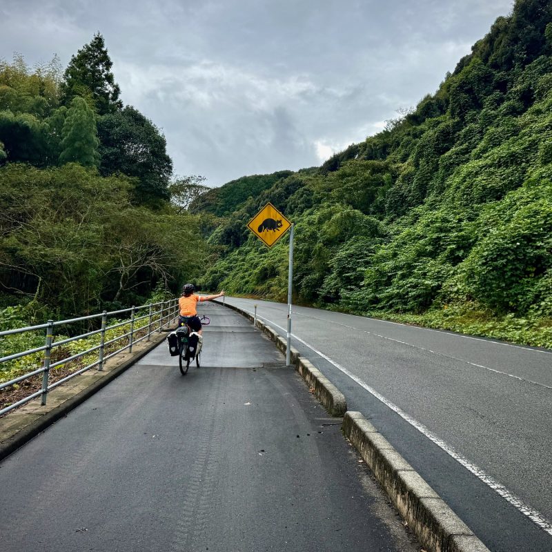 Tanuki Crossing